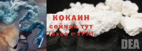 шишки Алексин