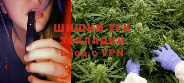 шишки Алексин