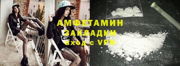 шишки Алексин