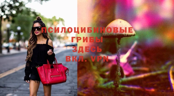 соль курить ск Алзамай