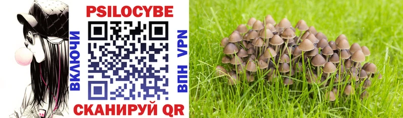 Псилоцибиновые грибы Magic Shrooms  hydra вход  Ленинск-Кузнецкий 