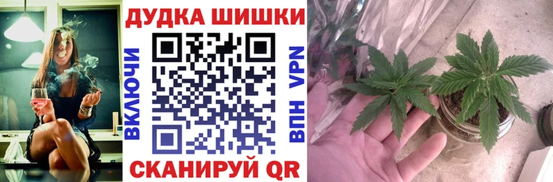 Каннабис ГИДРОПОН  OMG сайт  Ленинск-Кузнецкий  где можно купить наркотик 